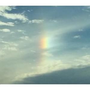 Meet your Posher, Carolina